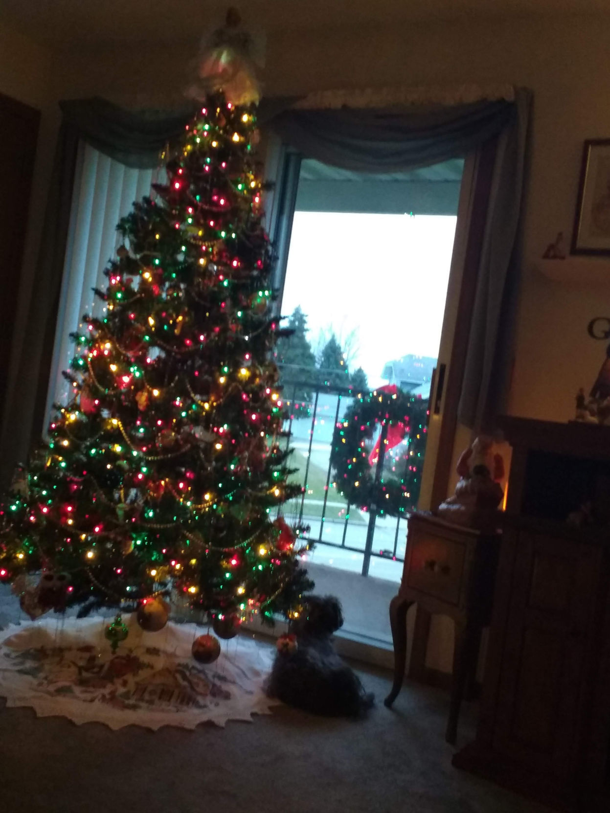 gizmo under tree